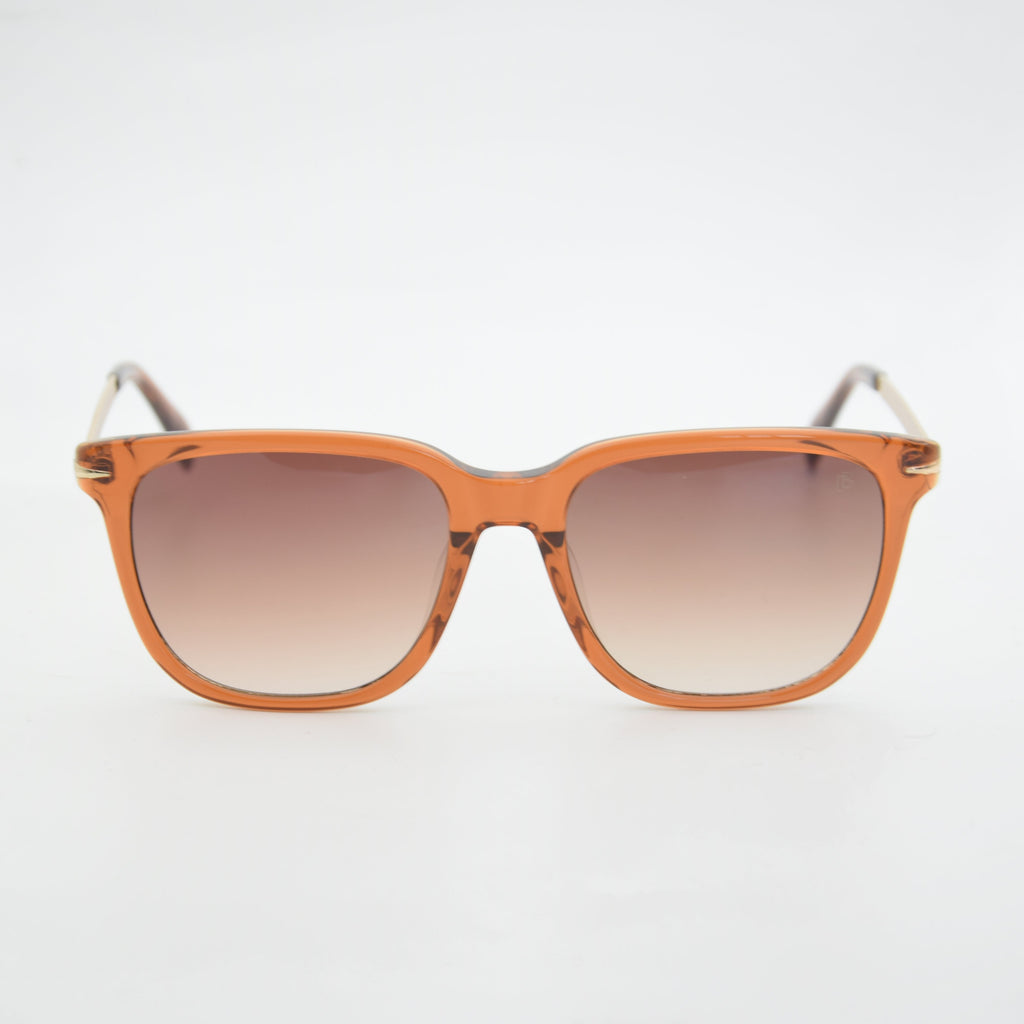 SOLAIRE :DAVID BECKHAM DB7067F/S MARRON