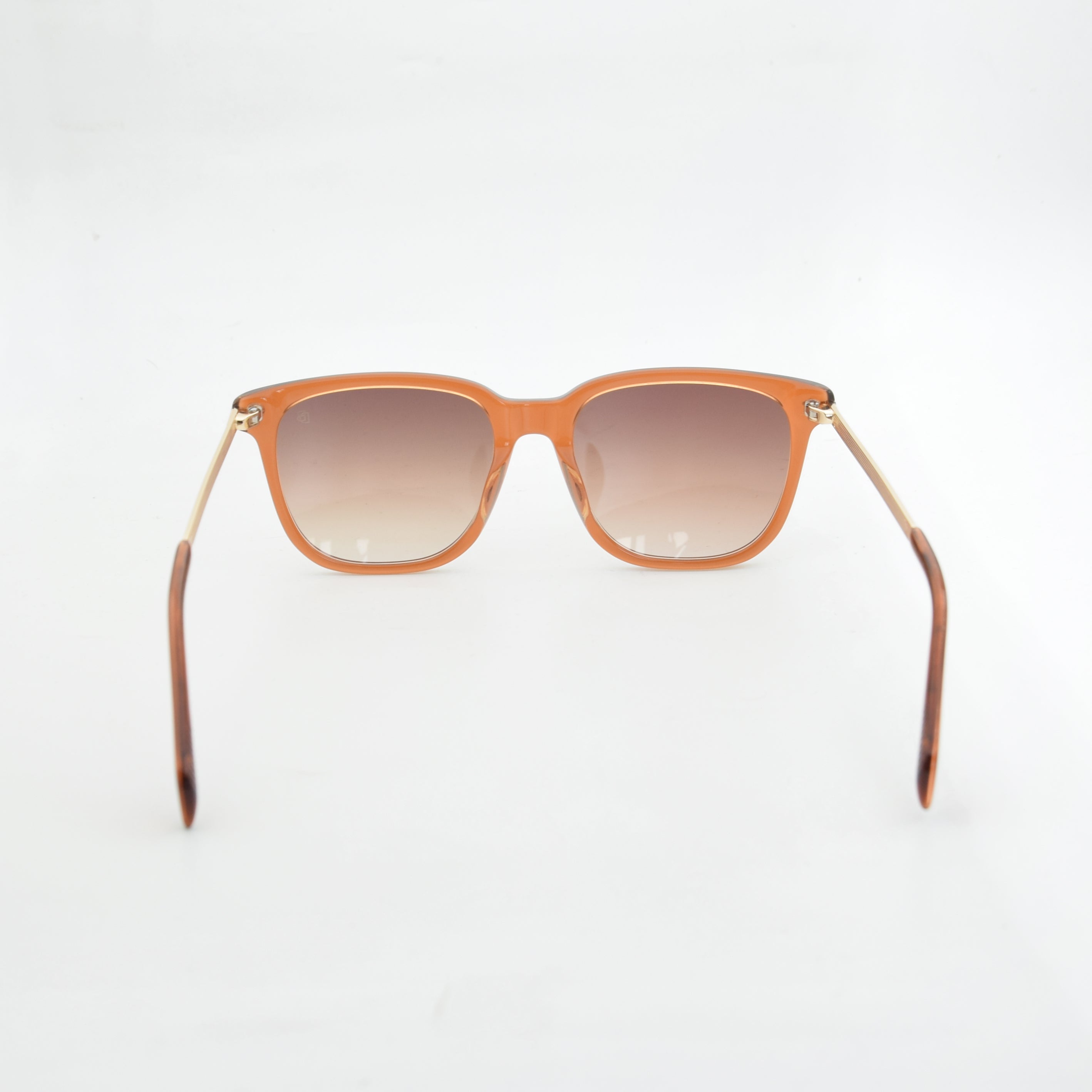 SOLAIRE :DAVID BECKHAM DB7067F/S MARRON