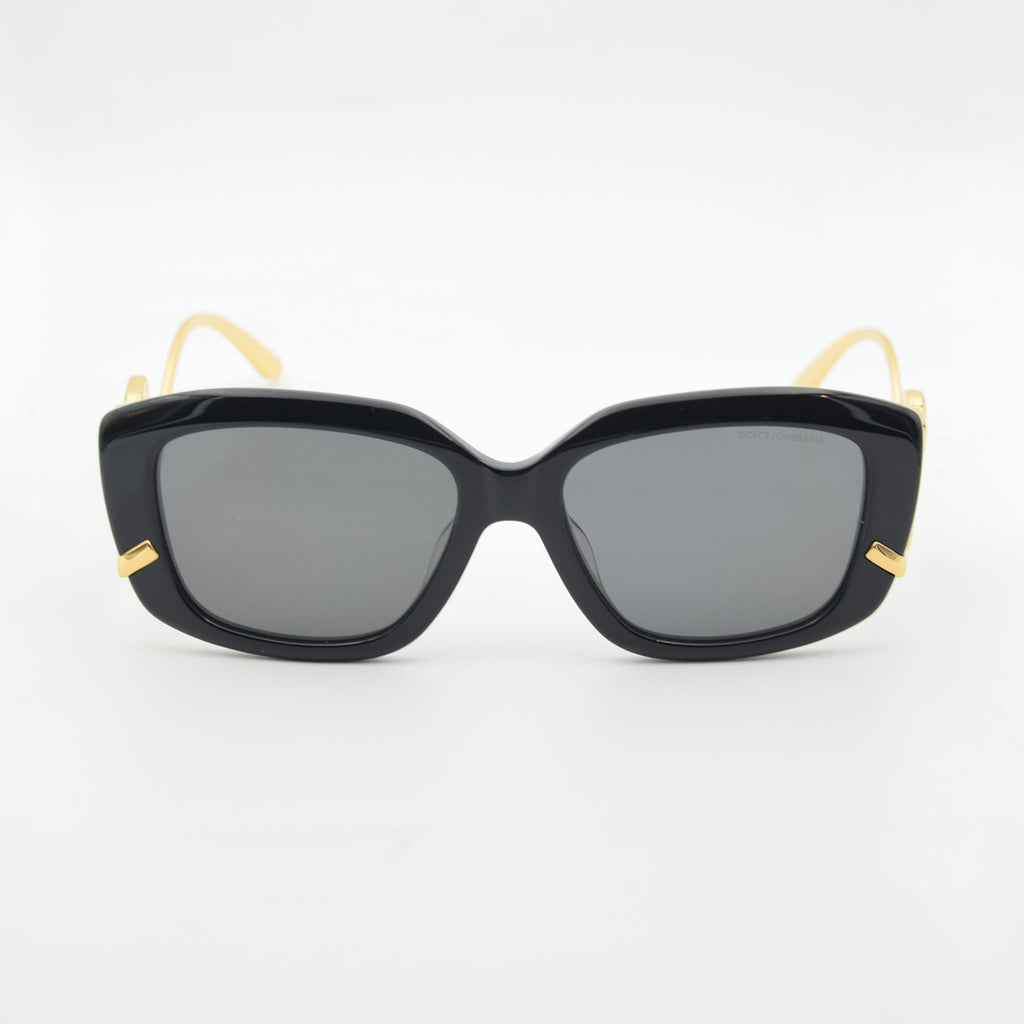 SOLAIRE :DOLCE & GABANNA DG6697 502/13